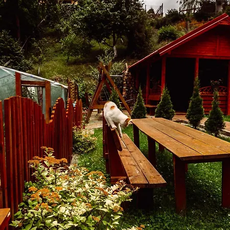 Apartament Ranczo W Dolinie Polchowo