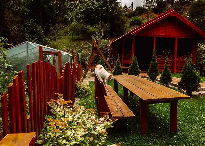 Apartman Ranczo W Dolinie Połchowo